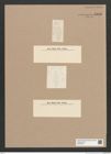 Diatomeae indet. Zeichnungen Sammlung Grunow Nr. 5883 (NHMW-BOT-W0374334)